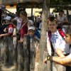kirnduls gyrben 2012.05.27. 039